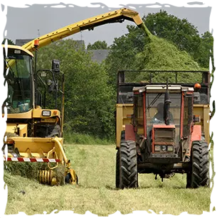 Forage harvester
